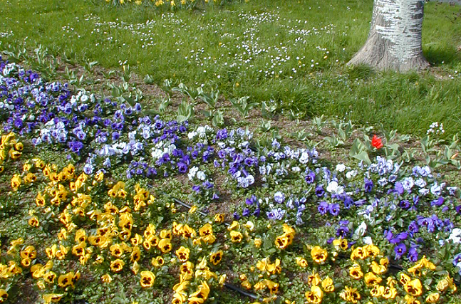 Per migliorare spazi verdi, sportivi e piste ciclabili sono previsti mutui senza interessi fino a una durata di 25 anni