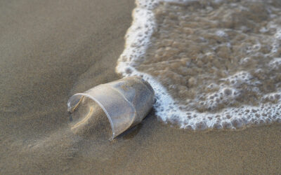 Ambiente Informa: l’ARPAV sta effettuando il monitoraggio dei rifiuti e delle microplastiche sulle spiagge e in mare