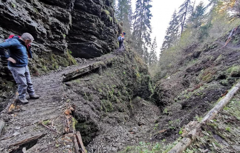 Gli operai di Veneto Agricoltura sono all’opera nei boschi del Nevegal per ripulire i sentieri devastati dalla Tempesta Vaia
