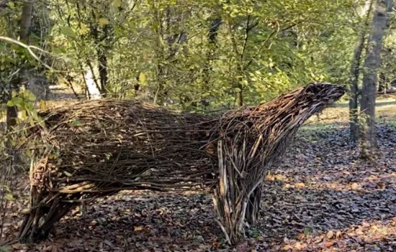 A Bosco Nordio di Veneto Agricoltura l’arte si fa natura con il  progetto europeo Interreg. Lunedì un webinar