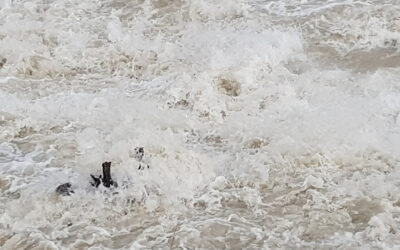 Nuovi lavori per la sicurezza idraulica sono iniziati lungo le sponde del canale Cagnola nel centro storico di Bovolenta