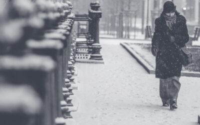 Sono proseguiti anche nella notte e nella giornata di oggi gli interventi di AMCPS Vicenza previsti dal piano neve