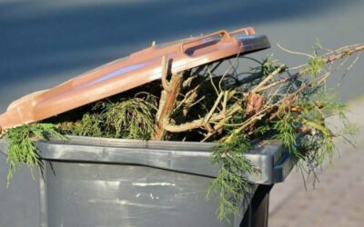 La raccolta del verde nell’area di Dolo Nord sarà effettuata da Veritas solamente nella giornata di giovedì 27 dicembre