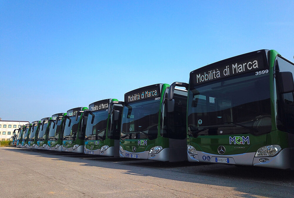 Il nuovo Polo Logistico di via Castellana a Treviso di Mobilità di Marca sarà una realtà da domani mattina