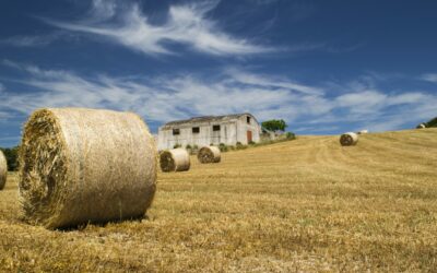 Crisi pandemica, spiragli per l’agroalimentare veneto. Presentate le prime valutazioni sull’andamento del comparto