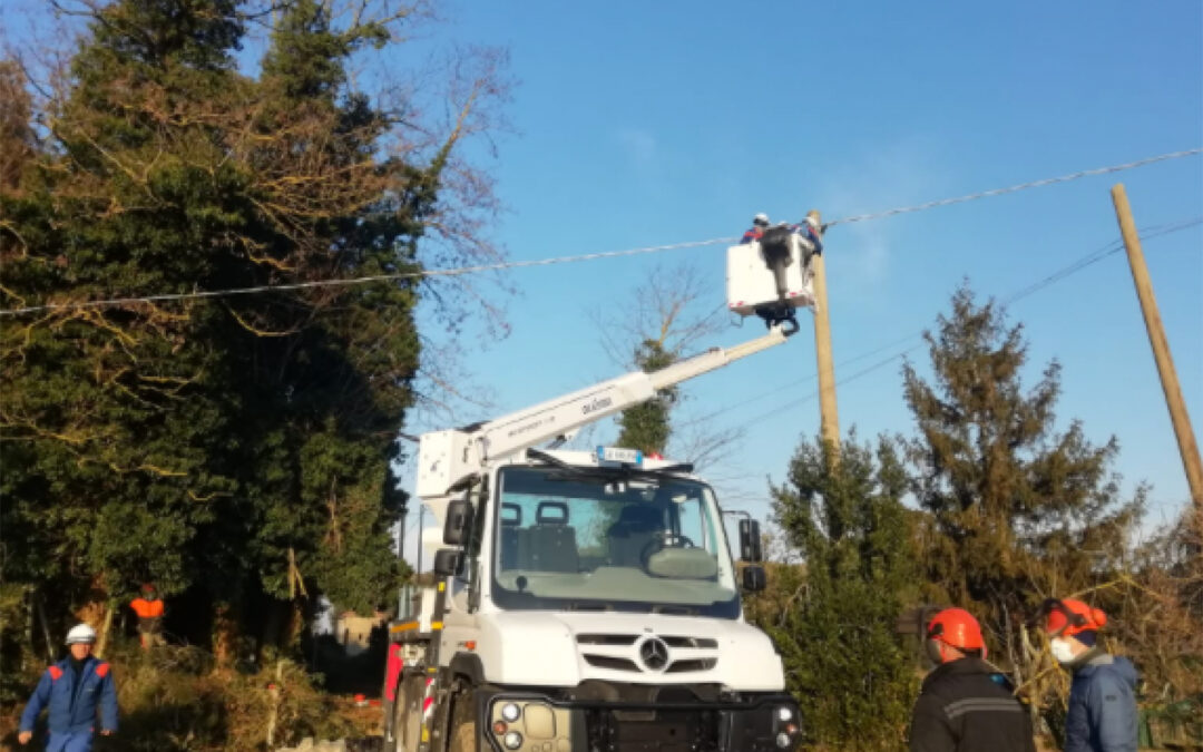 Veneto Agricoltura ed Enel Distribuzione hanno messo in sicurezza una linea elettrica adiacente a Bosco Nordio
