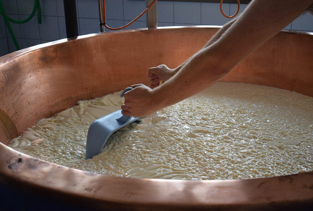 Programma di Sviluppo Rurale del Veneto: già conclusi 579 dei 1.118 interventi finanziati dalla Misura 19