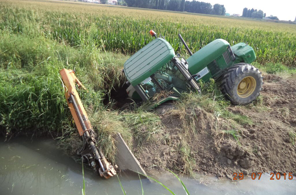 Le nutrie nei corsi d’acqua sono un’emergenza: tavolo di lavoro del Consorzio Veronese per affrontare il problema