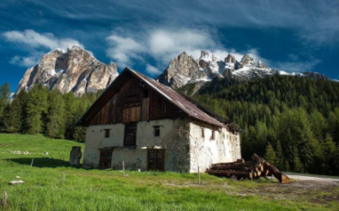 I laboratori di Thiene di Veneto Agricoltura a supporto dei piccoli produttori caseari della provincia di Belluno