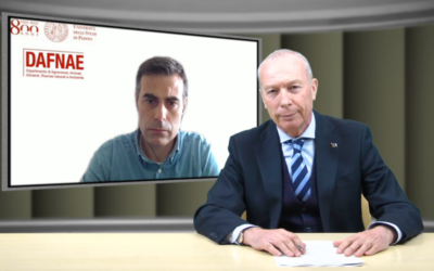 Diffuso oggi un nuovo numero della newsletter Agricoltura Veneta. E’ pubblicata e disponibile anche on line