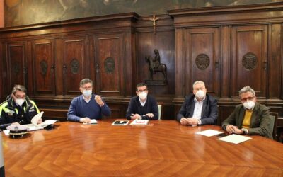 Dopo un anno di lavoro entra in vigore oggi il primo regolamento del verde  pubblico e privato di Verona