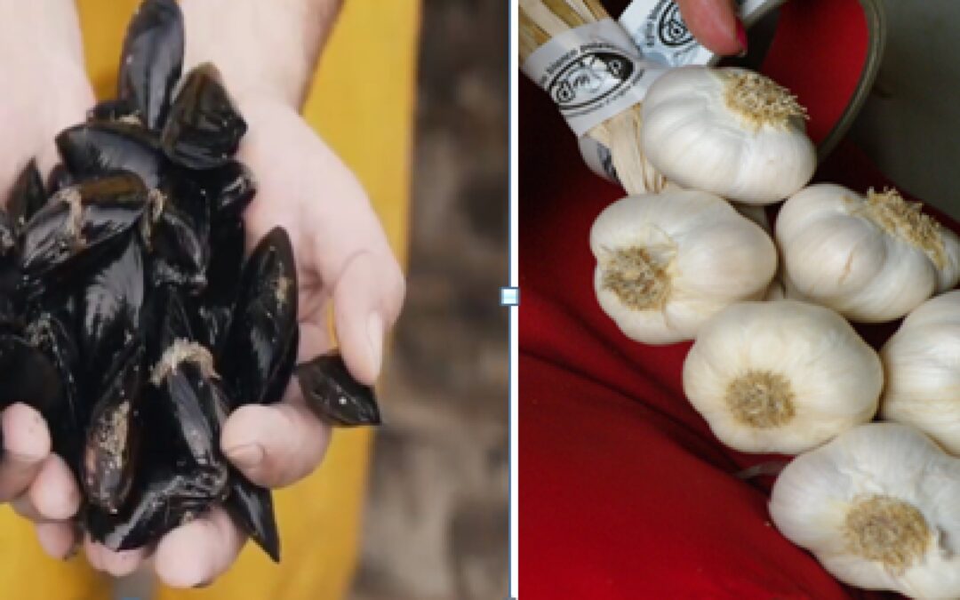 Il Polesine, terra di eccellenze agroalimentari con sigillo europeo, nelle ultime puntate di Veneto Agricoltura Channel