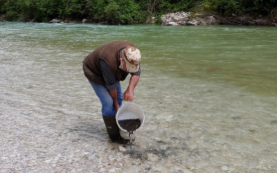 Sabato prossimo il ripopolamento dei corsi d’acqua del feltrino, dell’area di Belluno, di Longarone e Calalzo