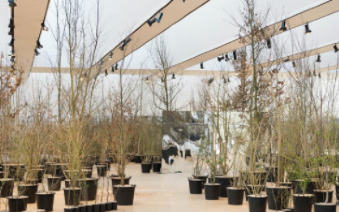 Con la riapertura del Museo del ’900 a Mestre è finalmente possibile visitare   l’allestimento “Foresta M9”