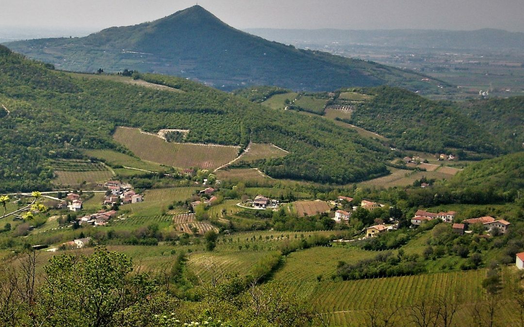 Mappe georeferenziate dei sentieri e servizi in tempo reale con la nuova app del Parco Regionale dei Colli Euganei