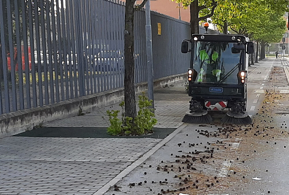 Pulizie Intensive di AcegasApsAmga: giovedì 6 maggio l’intervento sarà in zona Madonna Pellegrina a Padova