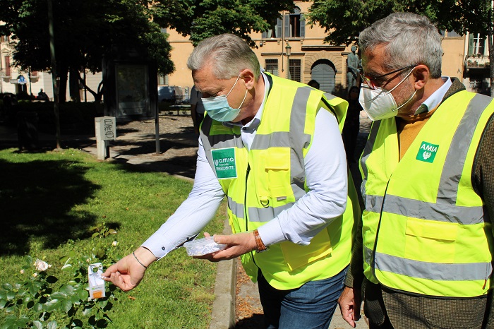 A Verona lotta ai parassiti delle piante con le coccinelle al posto di pesticidi, prodotti chimici e fitosanitari