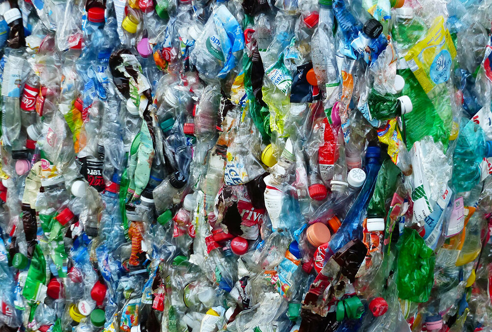 Il COREPLA spiega cosa stabilisce la nuova normativa sulla plastica monouso che entrerà in vigore a gennaio