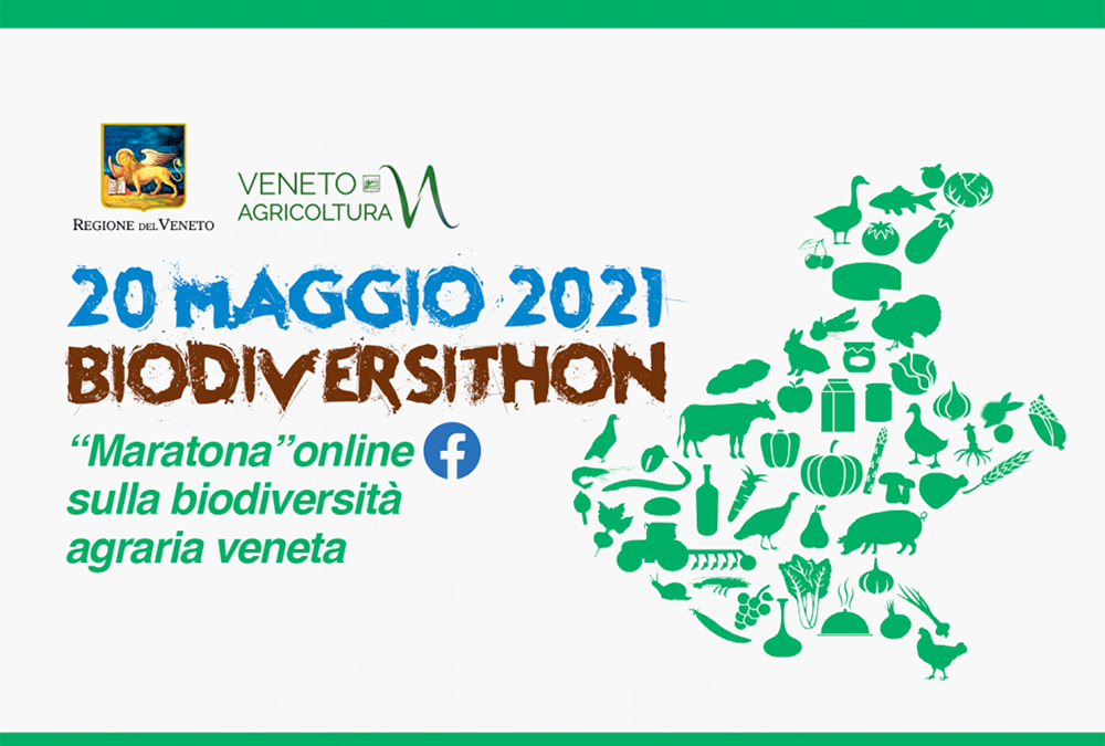 “BiodiversiThon 2021”, la grande maratona veneta per la salvaguardia della biodiversità agraria