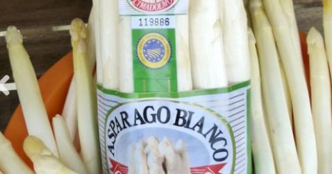 L’Asparago Bianco di Cimadolmo nel trevigiano da vent’anni iscritto al registro IGP con una storia millenaria