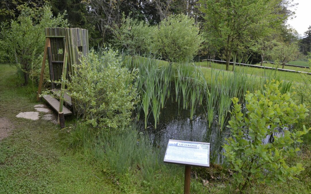 La bellezza dei molti luoghi naturali di Veneto Agricoltura nell’ultimo numero della newsletter dell’agenzia regionale