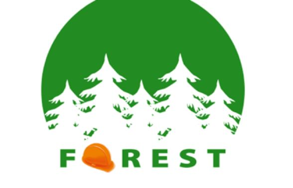 Operatori forestali anche donne e standardizzare la formazione: ci pensa il Progetto europeo FOREST