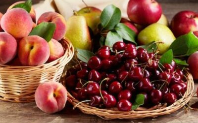 Prodotti a “km 0” da domenica prossima sino a settembre all’oasi naturalistica a ValleVecchia di Caorle