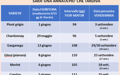 Sono disponibili on line le slide del primo focus del “Trittico Vitivinicolo” di Veneto Agricoltura tenutosi oggi