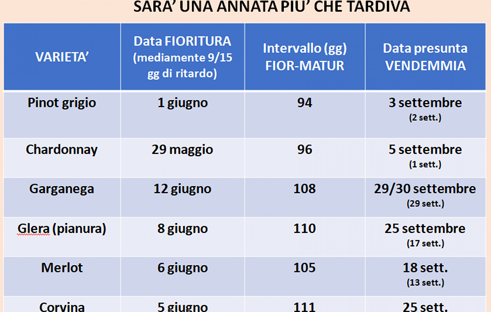 Sono disponibili on line le slide del primo focus del “Trittico Vitivinicolo” di Veneto Agricoltura tenutosi oggi
