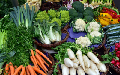 Aziende agricole biologiche di successo: in dirittura d’arrivo l’analisi dell’Università Ca’ Foscari per la Regione del Veneto