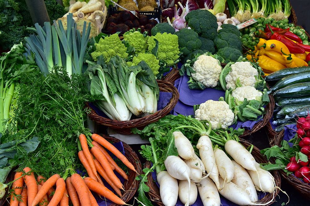Aziende agricole biologiche di successo: in dirittura d’arrivo l’analisi dell’Università Ca’ Foscari per la Regione del Veneto
