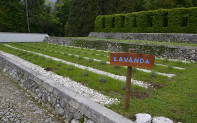 Attività per tutte le età dedicate all’olfatto nel fine settimana al Giardino Vegetazionale Astego a Pieve del Grappa