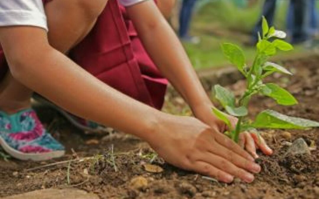 Progetto “Ridiamo il sorriso alla Pianura Padana”: s’è conclusa la prima fase con ben 342 comuni veneti che hanno aderito