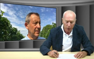 Veneto Agricoltura Channel ha intervistato Diego Tomasi del CREA-VE sullo stato di salute delle viti e dell’uva