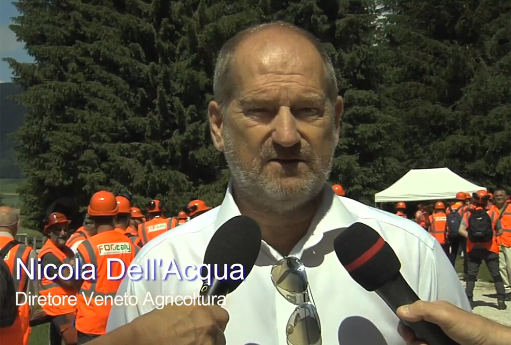 Un video di Veneto Agricoltura sul corso per gli operatori forestali tenutosi nella Foresta demaniale del Cansiglio