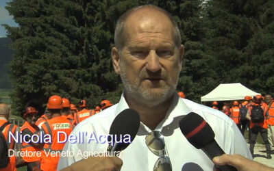 Un video di Veneto Agricoltura sul corso per gli operatori forestali tenutosi nella Foresta demaniale del Cansiglio