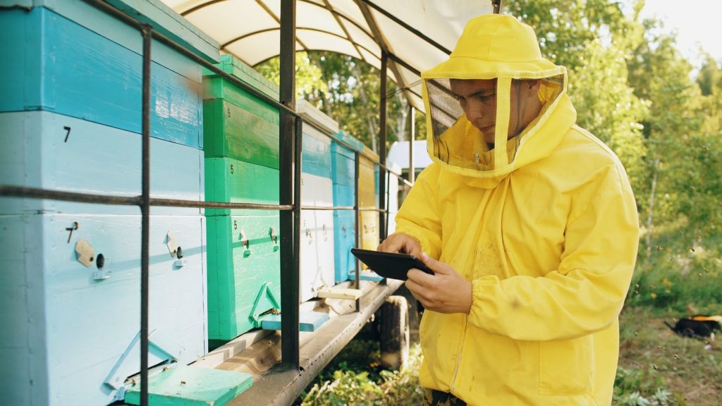 Un programma di sei apputamenti di formazione in apicoltura è promosso dal Comitato Parco Palude di Onara
