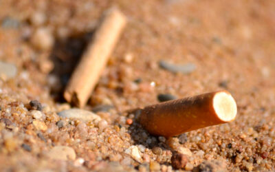 I mozziconi di sigaretta e la plastica sono i rifiuti più gettati e abbandonati sulle spiagge del Veneto