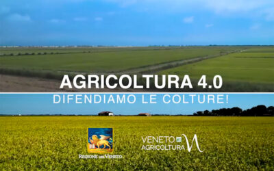 Da domani, ogni venerdì, un nuovo notiziario di Regione del Veneto e Veneto Agricoltura su Telepadova 7 Gold