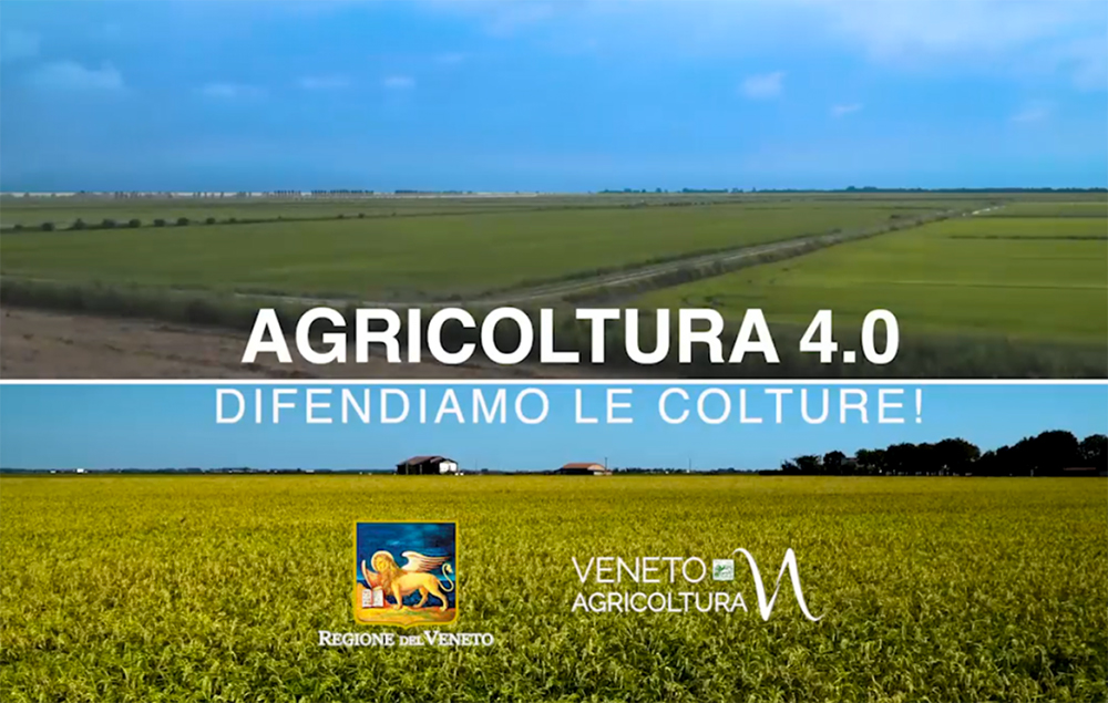 Da domani, ogni venerdì, un nuovo notiziario di Regione del Veneto e Veneto Agricoltura su Telepadova 7 Gold