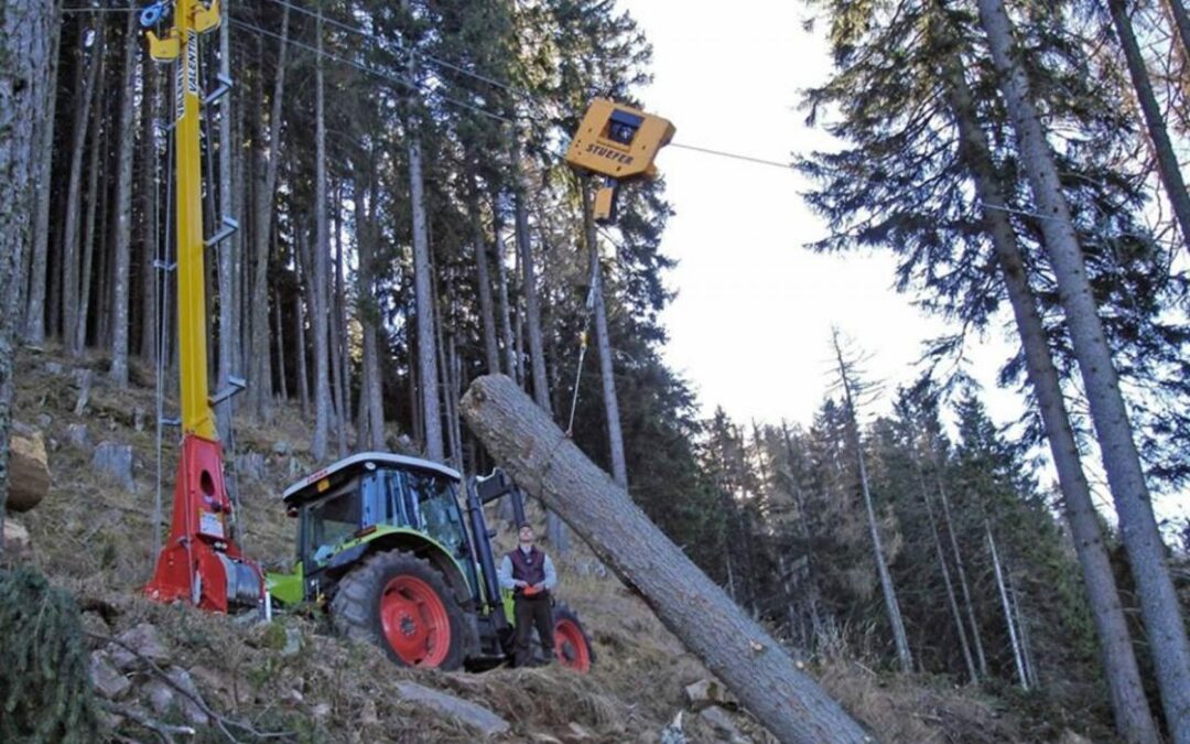Pascoli o bosco? Come gestire il territorio dopo la tempesta VAIA? Domani due convegni al “Festival dell’Agricoltura”