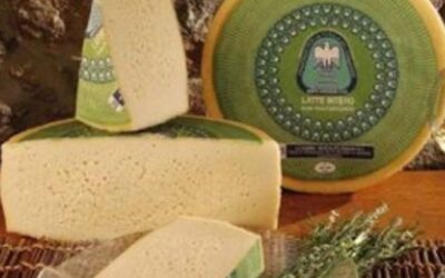 Su Veneto Agricoltura Channel questa settimana il Formaggio Monte Veronese DOP, prodotto fin dal XIII secolo