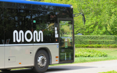 Aperta una selezione di Mobilità di Marca per l’assunzione di autisti di autobus. Domande entro lunedì 8 novembre
