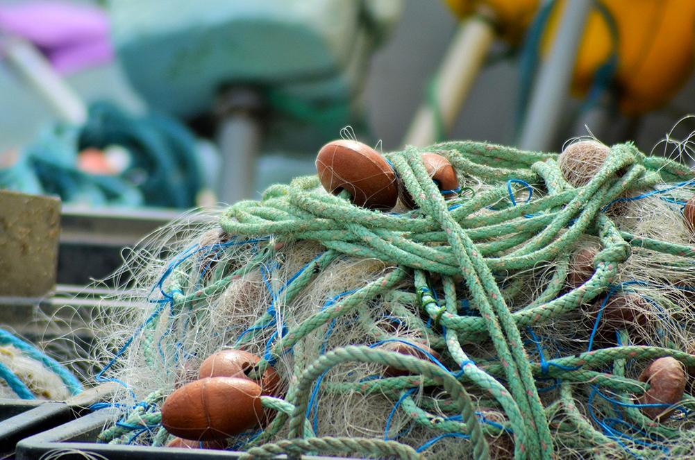 In Alto Adriatico continua il difficile momento per la pesca. Un focus di Veneto Agricoltura sulla Marineria di Chioggia