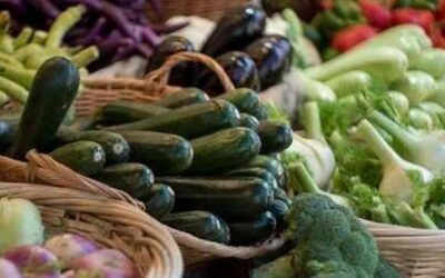 7° Festival dell’Agricoltura: un milione e mezzo di veneti fanno la spesa negli oltre 100 farmers market regionali