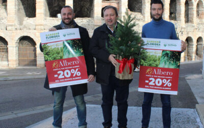 A Verona i vecchi alberi di Natale sintetici saranno avviati ai processi di recupero e riciclo con il progetto “Ri–Albero”