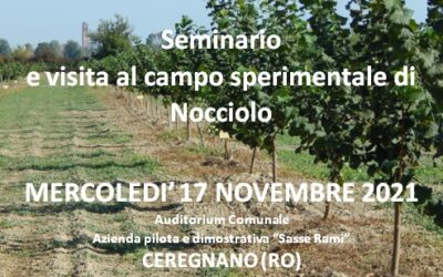 Un seminario con visita all’impianto-pilota di nocciolo all’Azienda pilota e dimostrativa Sasse Rami di Veneto Agricoltura