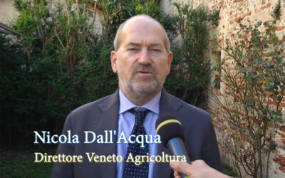 Dopo vaia, meglio tornare ai boschi o agli antichi pratiti? Un approfondimento di Veneto Agricoltura Channel