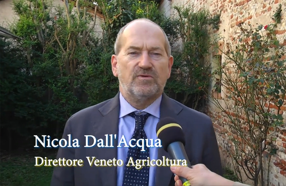 Dopo vaia, meglio tornare ai boschi o agli antichi pratiti? Un approfondimento di Veneto Agricoltura Channel