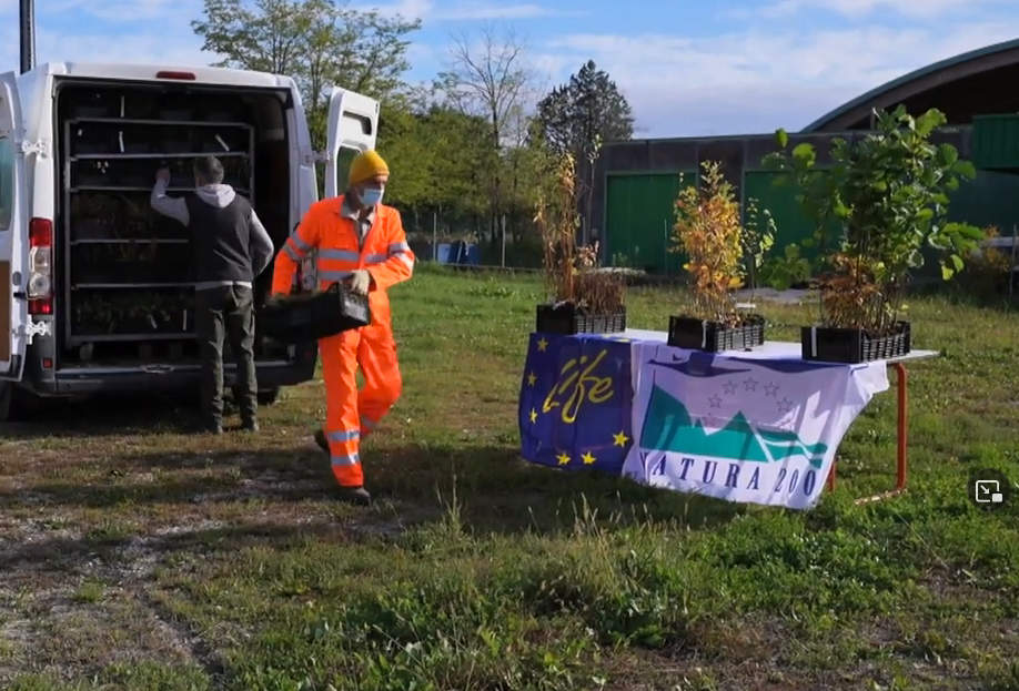 Consegnate le piante ai proprietari dei terreni interessati dal progetto LIFE Palù Quartier del Piave